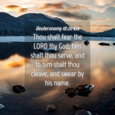 Picture 04 - Deuteronomy 10:20 KJV - Thou shalt fear the LORD thy God; him shalt thou - Bible Verse Picture