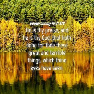 Picture 04 - Deuteronomy 10:21 KJV - He is thy praise, and he is thy God, that hath - Bible Verse Picture
