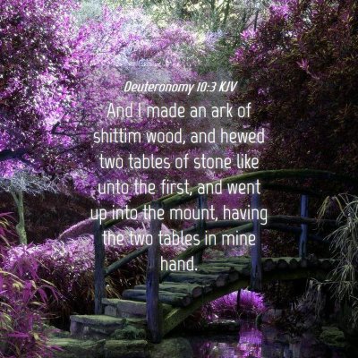 Picture 04 - Deuteronomy 10:3 KJV - And I made an ark of shittim wood, and hewed two - Bible Verse Picture