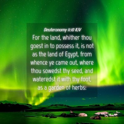 Picture 04 - Deuteronomy 11:10 KJV - For the land, whither thou goest in to possess - Bible Verse Picture