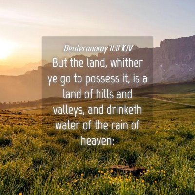 Picture 04 - Deuteronomy 11:11 KJV - But the land, whither ye go to possess it, is a - Bible Verse Picture