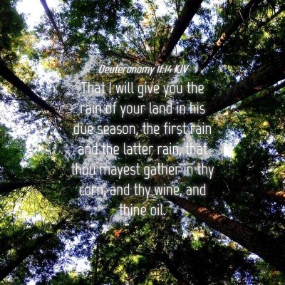 Picture 04 - Deuteronomy 11:14 KJV - That I will give you the rain of your land in his - Bible Verse Picture