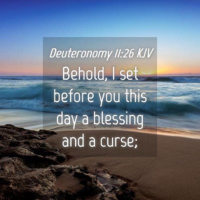 Picture 04 - Deuteronomy 11:26 KJV - Behold, I set before you this day a blessing and - Bible Verse Picture