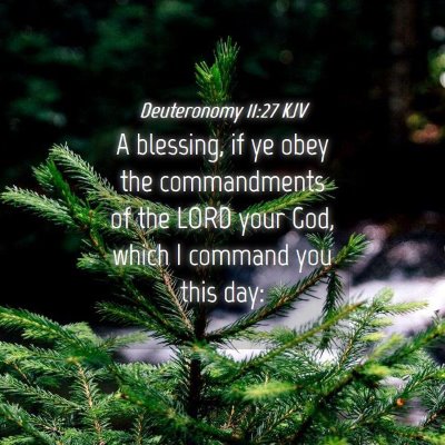 Picture 04 - Deuteronomy 11:27 KJV - A blessing, if ye obey the commandments of the - Bible Verse Picture
