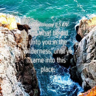 Picture 04 - Deuteronomy 11:5 KJV - And what he did unto you in the wilderness, until - Bible Verse Picture