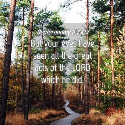 Picture 04 - Deuteronomy 11:7 KJV - But your eyes have seen all the great acts of the - Bible Verse Picture