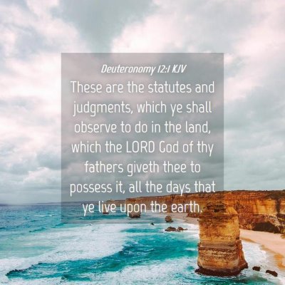 Picture 04 - Deuteronomy 12:1 KJV - These are the statutes and judgments, which ye - Bible Verse Picture