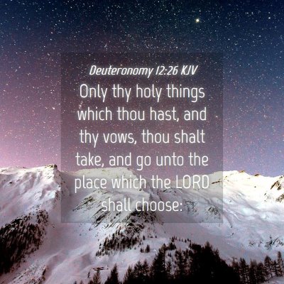 Picture 04 - Deuteronomy 12:26 KJV - Only thy holy things which thou hast, and thy - Bible Verse Picture
