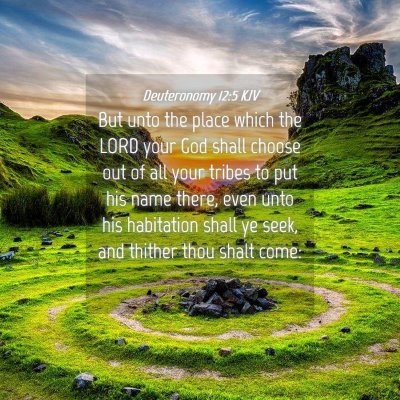 Picture 04 - Deuteronomy 12:5 KJV - But unto the place which the LORD your God shall - Bible Verse Picture