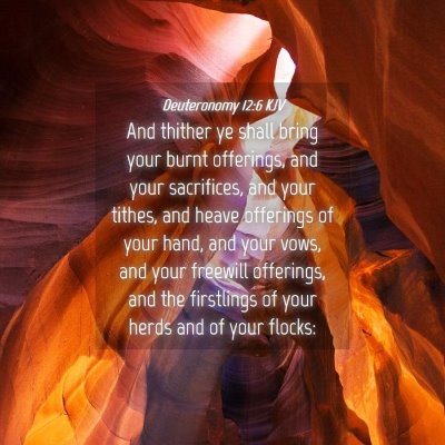 Picture 04 - Deuteronomy 12:6 KJV - And thither ye shall bring your burnt offerings, - Bible Verse Picture