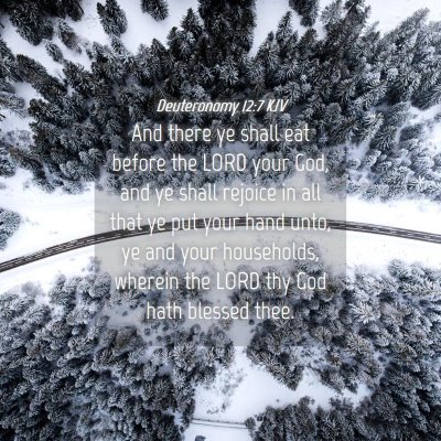 Picture 04 - Deuteronomy 12:7 KJV - And there ye shall eat before the LORD your God, - Bible Verse Picture