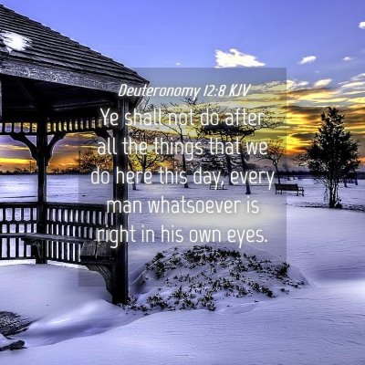 Picture 04 - Deuteronomy 12:8 KJV - Ye shall not do after all the things that we do - Bible Verse Picture