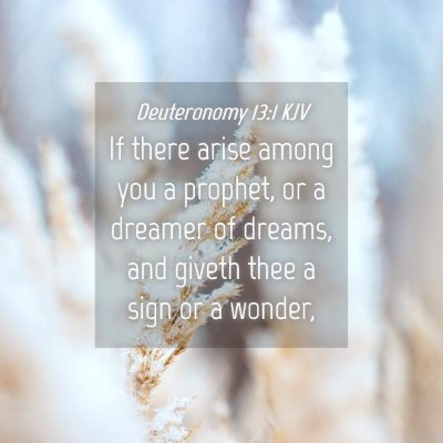 Picture 04 - Deuteronomy 13:1 KJV - If there arise among you a prophet, or a dreamer - Bible Verse Picture