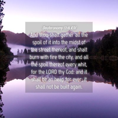 Picture 04 - Deuteronomy 13:16 KJV - And thou shalt gather all the spoil of it into - Bible Verse Picture