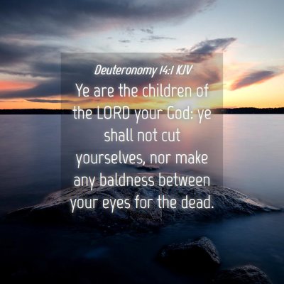 Picture 04 - Deuteronomy 14:1 KJV - Ye are the children of the LORD your God: ye - Bible Verse Picture
