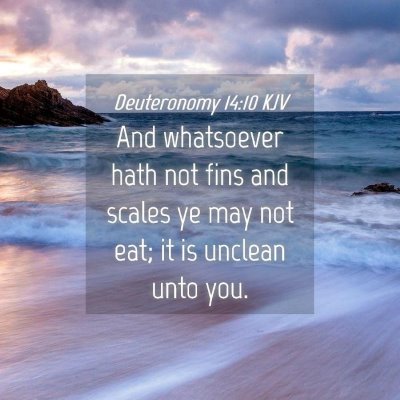 Picture 04 - Deuteronomy 14:10 KJV - And whatsoever hath not fins and scales ye may - Bible Verse Picture