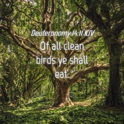 Picture 04 - Deuteronomy 14:11 KJV - Of all clean birds ye shall - Bible Verse Picture