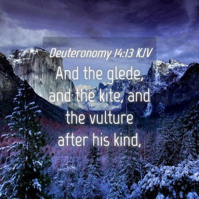 Picture 04 - Deuteronomy 14:13 KJV - And the glede, and the kite, and the vulture - Bible Verse Picture