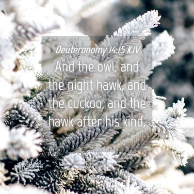 Picture 04 - Deuteronomy 14:15 KJV - And the owl, and the night hawk, and the cuckoo, - Bible Verse Picture
