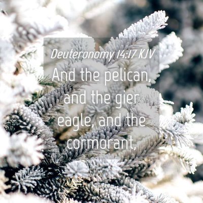 Picture 04 - Deuteronomy 14:17 KJV - And the pelican, and the gier eagle, and the - Bible Verse Picture