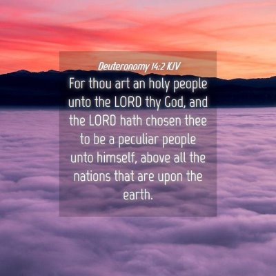 Picture 04 - Deuteronomy 14:2 KJV - For thou art an holy people unto the LORD thy - Bible Verse Picture