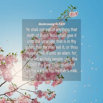 Picture 04 - Deuteronomy 14:21 KJV - Ye shall not eat of anything that dieth of - Bible Verse Picture