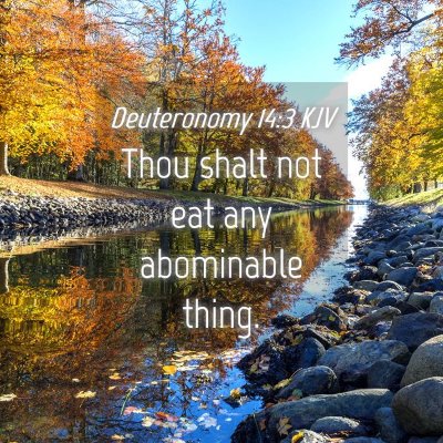 Picture 04 - Deuteronomy 14:3 KJV - Thou shalt not eat any abominable - Bible Verse Picture
