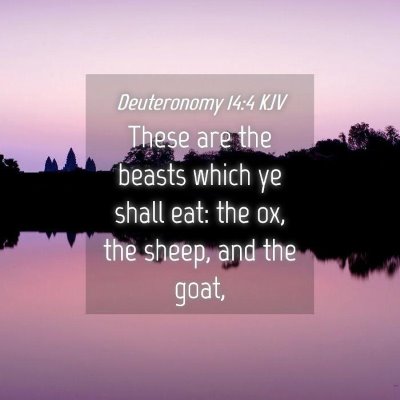 Picture 04 - Deuteronomy 14:4 KJV - These are the beasts which ye shall eat: the ox, - Bible Verse Picture