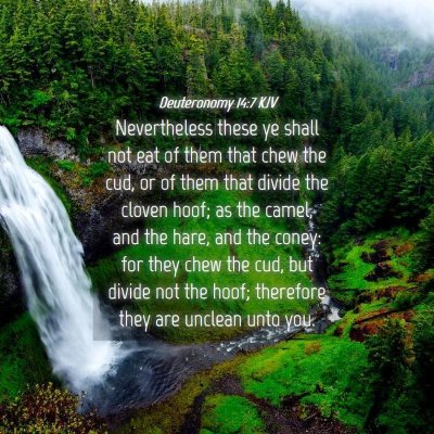 Picture 04 - Deuteronomy 14:7 KJV - Nevertheless these ye shall not eat of them that - Bible Verse Picture