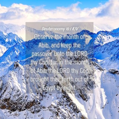 Picture 04 - Deuteronomy 16:1 KJV - Observe the month of Abib, and keep the passover - Bible Verse Picture