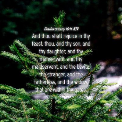 Picture 04 - Deuteronomy 16:14 KJV - And thou shalt rejoice in thy feast, thou, and - Bible Verse Picture