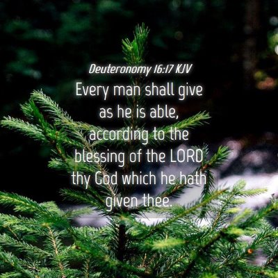 Picture 04 - Deuteronomy 16:17 KJV - Every man shall give as he is able, according to - Bible Verse Picture