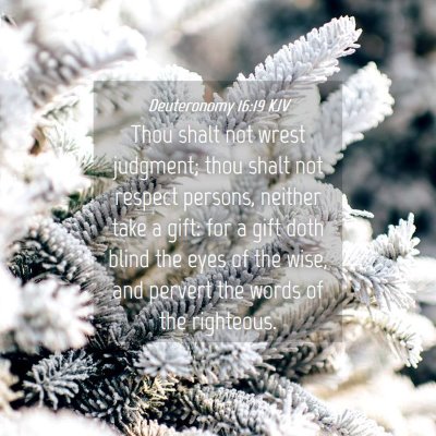 Picture 04 - Deuteronomy 16:19 KJV - Thou shalt not wrest judgment; thou shalt not - Bible Verse Picture