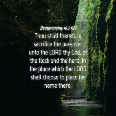 Picture 04 - Deuteronomy 16:2 KJV - Thou shalt therefore sacrifice the passover unto - Bible Verse Picture