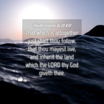 Picture 04 - Deuteronomy 16:20 KJV - That which is altogether just shalt thou follow, - Bible Verse Picture