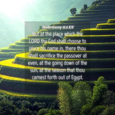 Picture 04 - Deuteronomy 16:6 KJV - But at the place which the LORD thy God shall - Bible Verse Picture