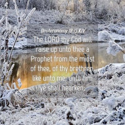 Picture 04 - Deuteronomy 18:15 KJV - The LORD thy God will raise up unto thee a - Bible Verse Picture