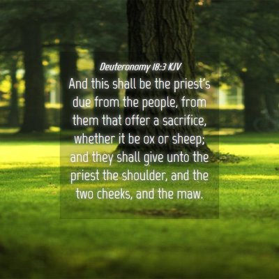 Picture 04 - Deuteronomy 18:3 KJV - And this shall be the priest's due from the - Bible Verse Picture