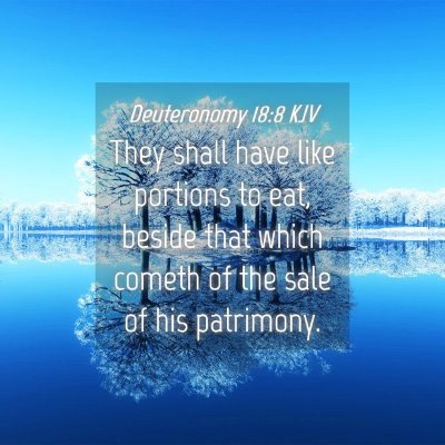 Picture 04 - Deuteronomy 18:8 KJV - They shall have like portions to eat, beside that - Bible Verse Picture