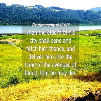 Picture 04 - Deuteronomy 19:12 KJV - Then the elders of his city shall send and fetch - Bible Verse Picture