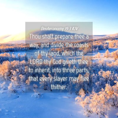 Picture 04 - Deuteronomy 19:3 KJV - Thou shalt prepare thee a way, and divide the - Bible Verse Picture