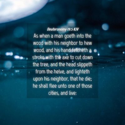 Picture 04 - Deuteronomy 19:5 KJV - As when a man goeth into the wood with his - Bible Verse Picture