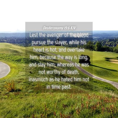 Picture 04 - Deuteronomy 19:6 KJV - Lest the avenger of the blood pursue the slayer, - Bible Verse Picture