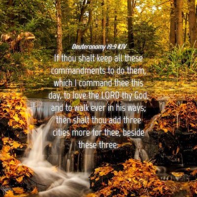 Picture 04 - Deuteronomy 19:9 KJV - If thou shalt keep all these commandments to do - Bible Verse Picture