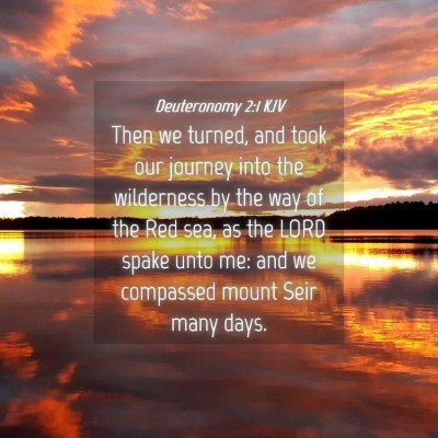 Picture 04 - Deuteronomy 2:1 KJV - Then we turned, and took our journey into the - Bible Verse Picture