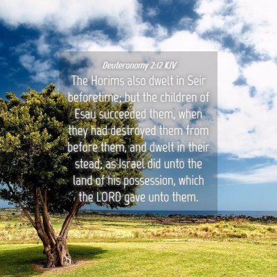 Picture 04 - Deuteronomy 2:12 KJV - The Horims also dwelt in Seir beforetime; but the - Bible Verse Picture
