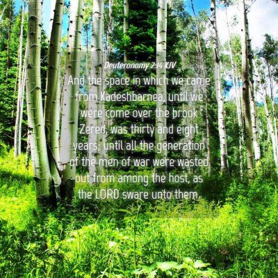 Picture 04 - Deuteronomy 2:14 KJV - And the space in which we came from Kadeshbarnea, - Bible Verse Picture