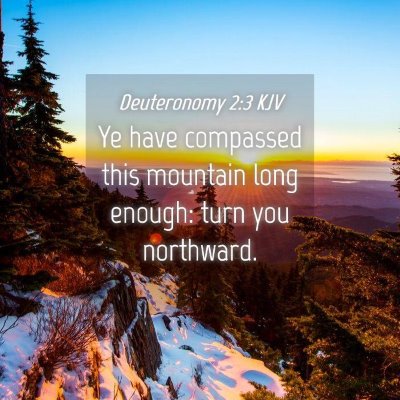 Picture 04 - Deuteronomy 2:3 KJV - Ye have compassed this mountain long enough: turn - Bible Verse Picture