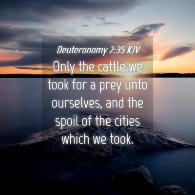 Picture 04 - Deuteronomy 2:35 KJV - Only the cattle we took for a prey unto - Bible Verse Picture