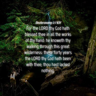 Picture 04 - Deuteronomy 2:7 KJV - For the LORD thy God hath blessed thee in all the - Bible Verse Picture